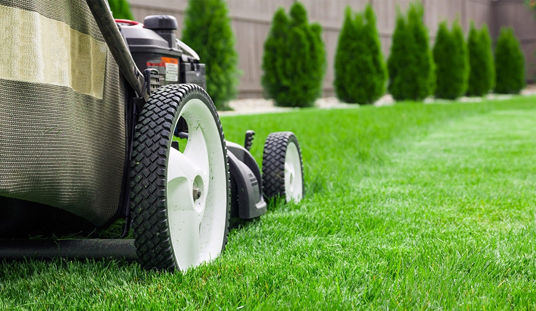 How to Mow Your Lawn