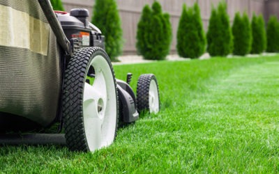 How to Mow Your Lawn
