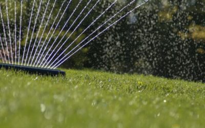 Watering & Fertilizing Your Lawn